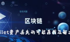 TPWallet资产丢失的可能原因