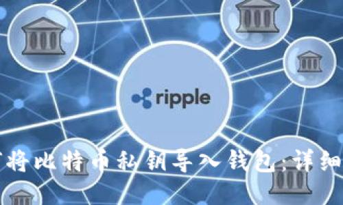 如何将比特币私钥导入钱包：详细指南