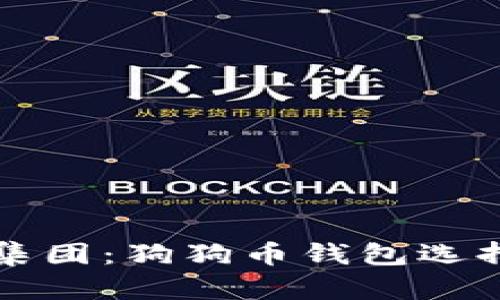 正宇集团：狗狗币钱包选择指南