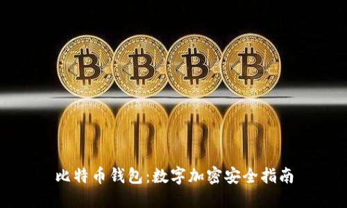 比特币钱包：数字加密安全指南