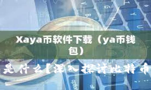 比特币最初的钱包是什么？深入探讨比特币钱包的历史与演变