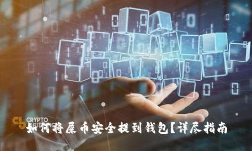 如何将屎币安全提到钱包？详尽指南