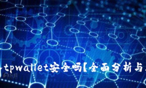 私钥导入tpwallet安全吗？全面分析与风险评估