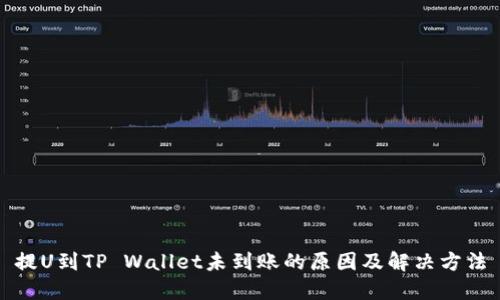 提U到TP Wallet未到账的原因及解决方法