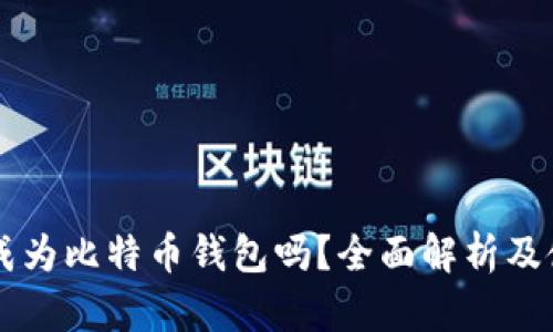 电报能成为比特币钱包吗？全面解析及使用指南