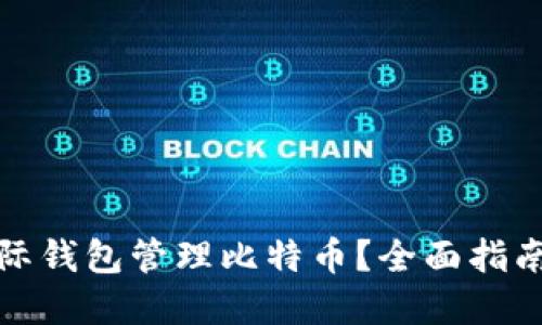 如何选择星际钱包管理比特币？全面指南及使用技巧