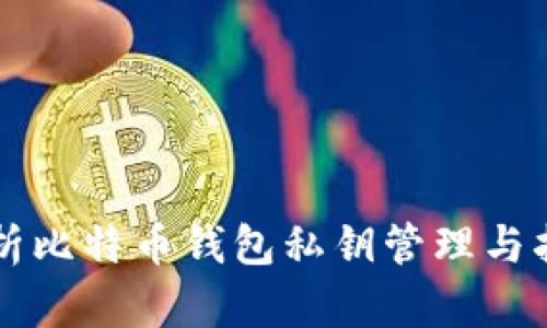 全面解析比特币钱包私钥管理与指令使用