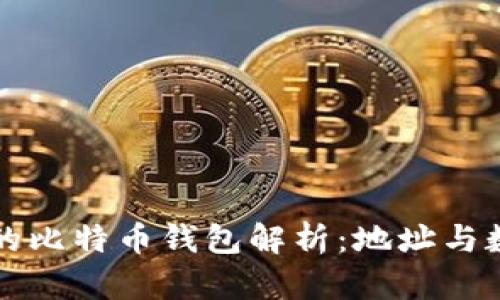 中本聪的比特币钱包解析：地址与数量揭秘