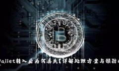 TPWallet转入后为何丢失？详解处理方案与预防措施