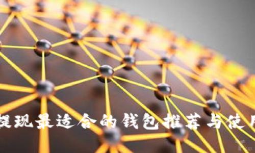 屎币提现最适合的钱包推荐与使用指南