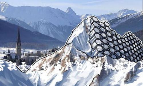 XLM币能否提至比特币钱包？详细解析与操作指南