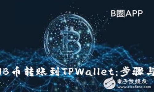 如何将BNB币转账到TPWallet：步骤与注意事项