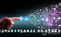 如何应对比特币钱包数据