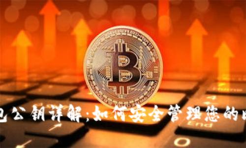比特币钱包公钥详解：如何安全管理您的比特币资产