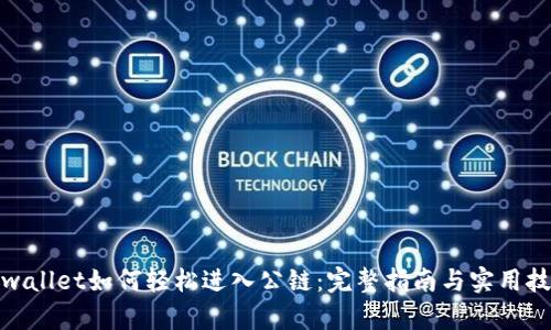 tpwallet如何轻松进入公链：完整指南与实用技巧