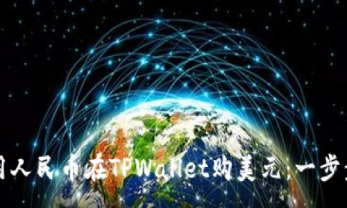 :
如何用人民币在TPWallet购美元：一步步指南