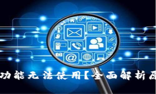 TPWallet闪兑功能无法使用？全面解析原因与解决方案