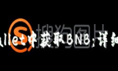 如何在TPWallet中获取BNB：详