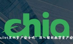 TPWallet里的资产安全吗? 深