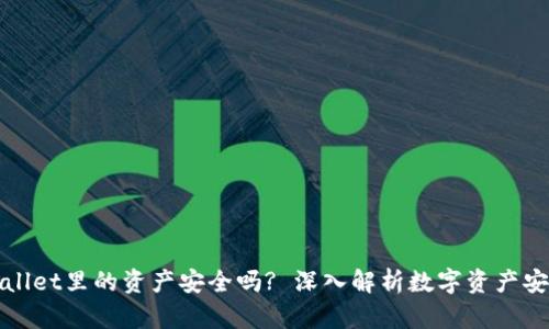 TPWallet里的资产安全吗? 深入解析数字资产安全性