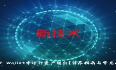 如何在TP Wallet中进行资产