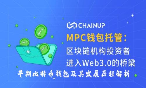 早期比特币钱包及其发展历程解析