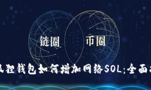 小狐狸钱包如何增加网络SOL：全面指南