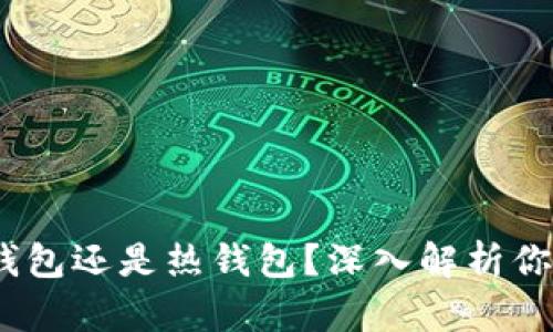 TP钱包：冷钱包还是热钱包？深入解析你所需知道的
