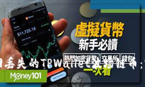 如何找回丢失的TPWallet波场链币：实用指南