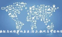 区块链与比特币的未来：潜力、挑战与可能的突