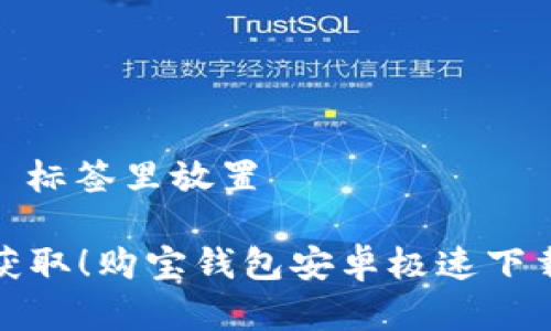 在 `` 标签里放置

立刻获取！购宝钱包安卓极速下载指南