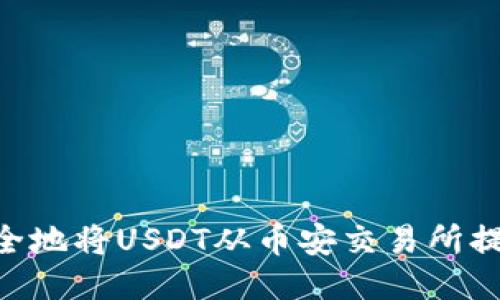 如何快速安全地将USDT从币安交易所提到TPWallet