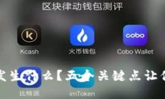 TP钱包里的币少了会发生什么？五个关键点让你了