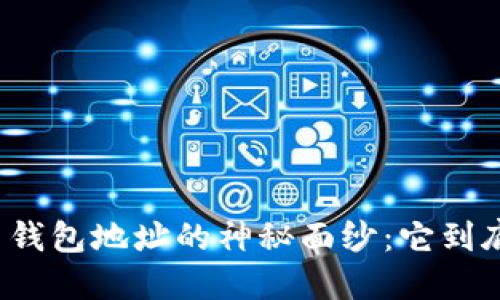 揭开比特币钱包地址的神秘面纱：它到底长什么样？