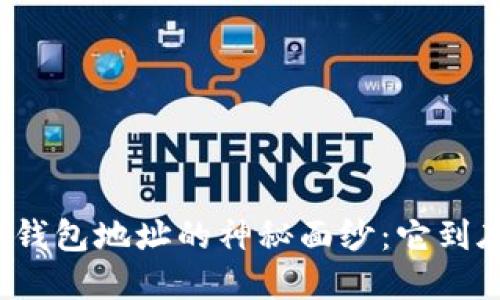 揭开比特币钱包地址的神秘面纱：它到底长什么样？