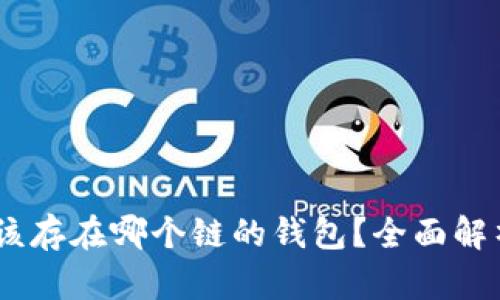 USDT应该存在哪个链的钱包？全面解析与推荐