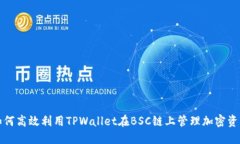 如何高效利用TPWallet在BSC链上管理加密资产