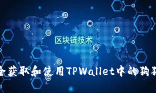 如何安全获取和使用TPWallet中的狗狗币地址