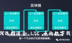如何选择适合 LTC 币的数字钱包？