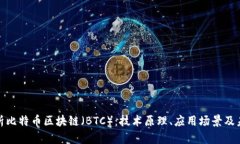 全面解析比特币区块链（BTC）：技术原理、应用