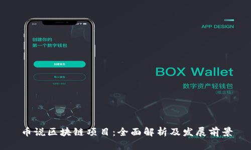 币说区块链项目：全面解析及发展前景