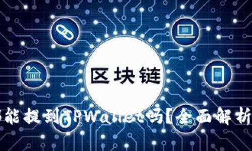 是什么币都能提到TPWallet吗？全面解析与用户指南