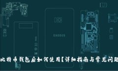 下载比特币钱包后如何使用？详细指南与常见问