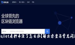 : tpwallet质押币没了怎么办？解决方案与常见问题