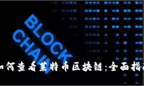 如何查看莱特币区块链：全面指南