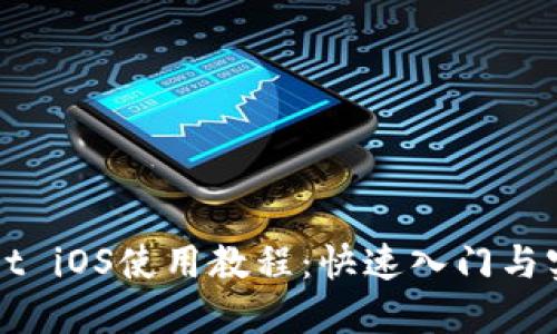 TPWallet iOS使用教程：快速入门与实用技巧