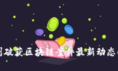 池州破获区块链案件最新动态解析