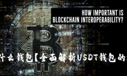 USDT提到什么钱包？全面解析USDT钱包的选择与使用
