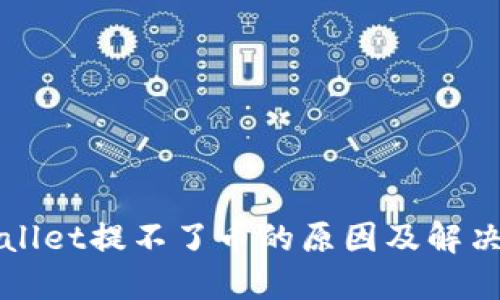 TPWallet提不了币的原因及解决方案