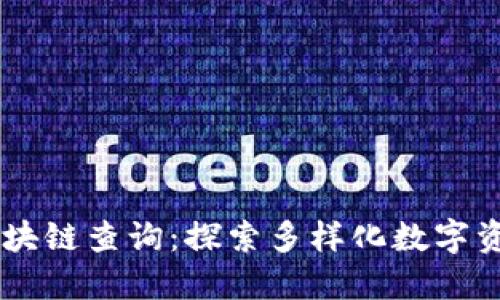 多币种聚合区块链查询：探索多样化数字资产管理的未来